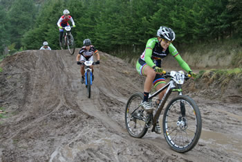 felimi2014x1d