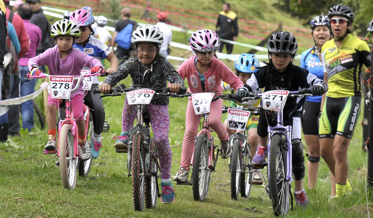 ffinalinfantil2014b