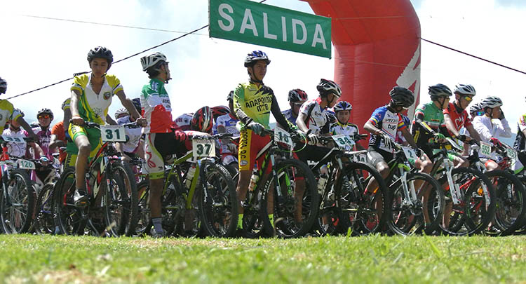 fguache2015a