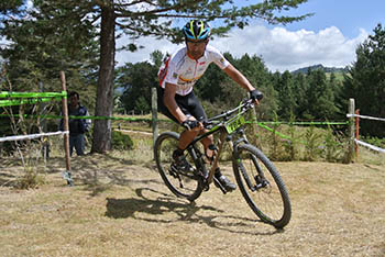 fguache2015c