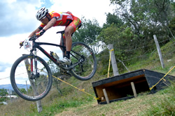 ftoca2014d