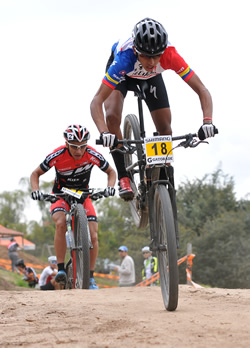 ftocacopacol2014b