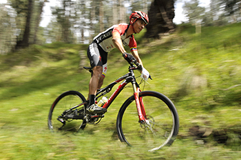 fzipa2014b